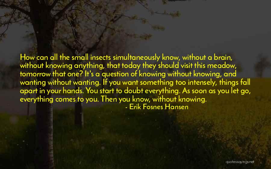 All Things Fall Apart Quotes By Erik Fosnes Hansen