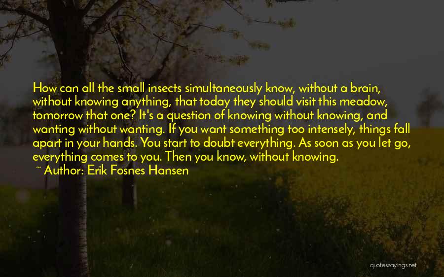 All Things Fall Quotes By Erik Fosnes Hansen