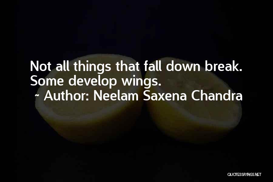 All Things Fall Quotes By Neelam Saxena Chandra
