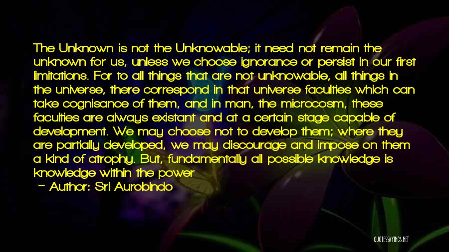 All Things Possible Quotes By Sri Aurobindo