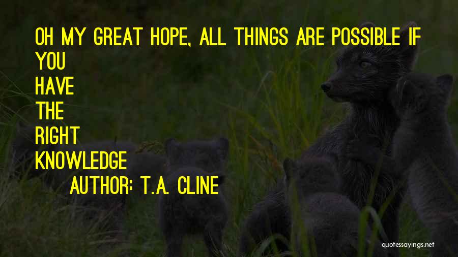 All Things Possible Quotes By T.A. Cline