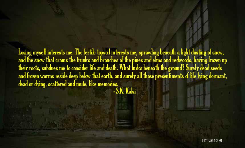 All Those Memories Quotes By S.K. Kalsi