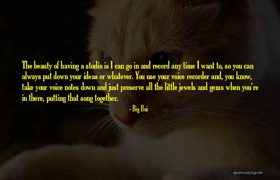 All Time Song Quotes By Big Boi All Time Song Quotes By Big Boi