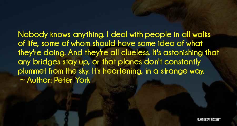 All Walks Of Life Quotes By Peter York