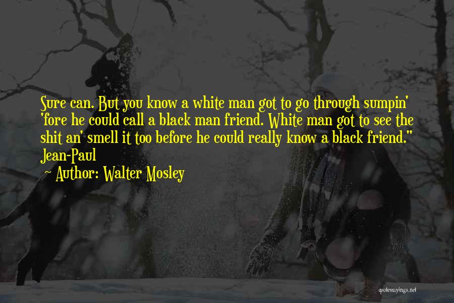 All Walter White Quotes By Walter Mosley