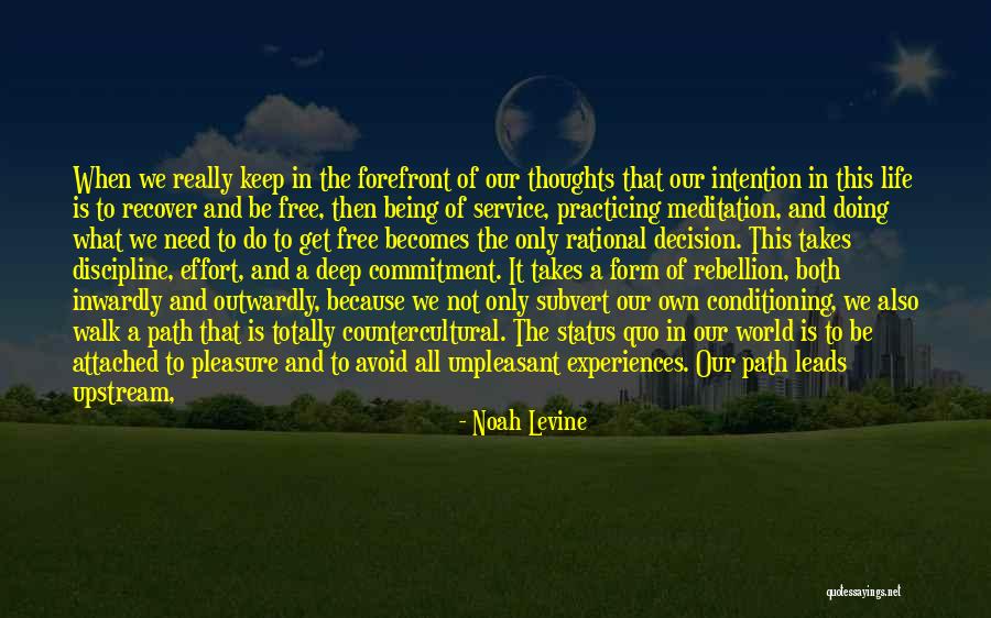 All We Need In Life Quotes By Noah Levine All We Need In Life Quotes By Noah Levine