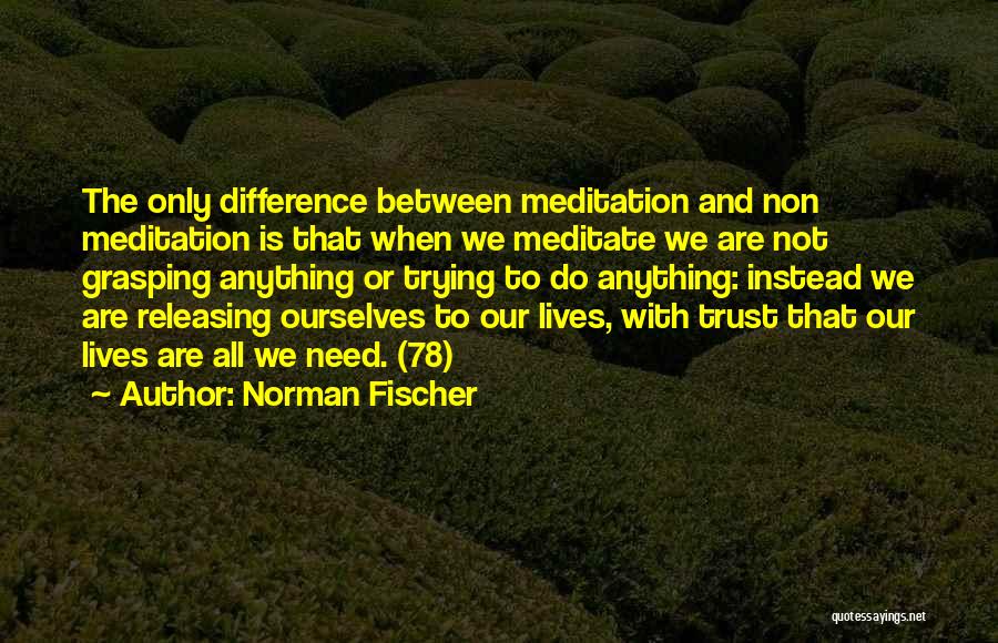 All We Need Is Trust Quotes By Norman Fischer