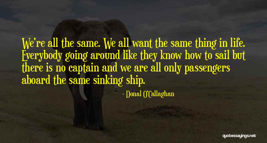 All We Want Quotes By Donal O'Callaghan All We Want Quotes By Donal O'Callaghan