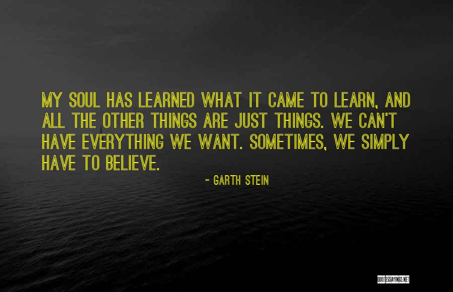 All We Want Quotes By Garth Stein All We Want Quotes By Garth Stein