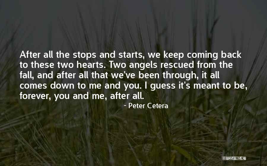 All We've Been Through Quotes By Peter Cetera All We've Been Through Quotes By Peter Cetera