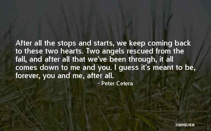 All We've Been Through Quotes By Peter Cetera