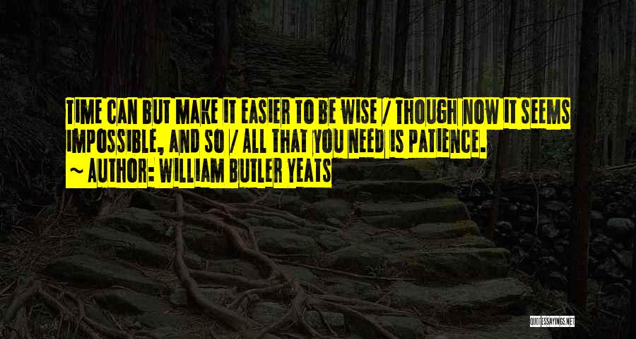 All Wise Quotes By William Butler Yeats