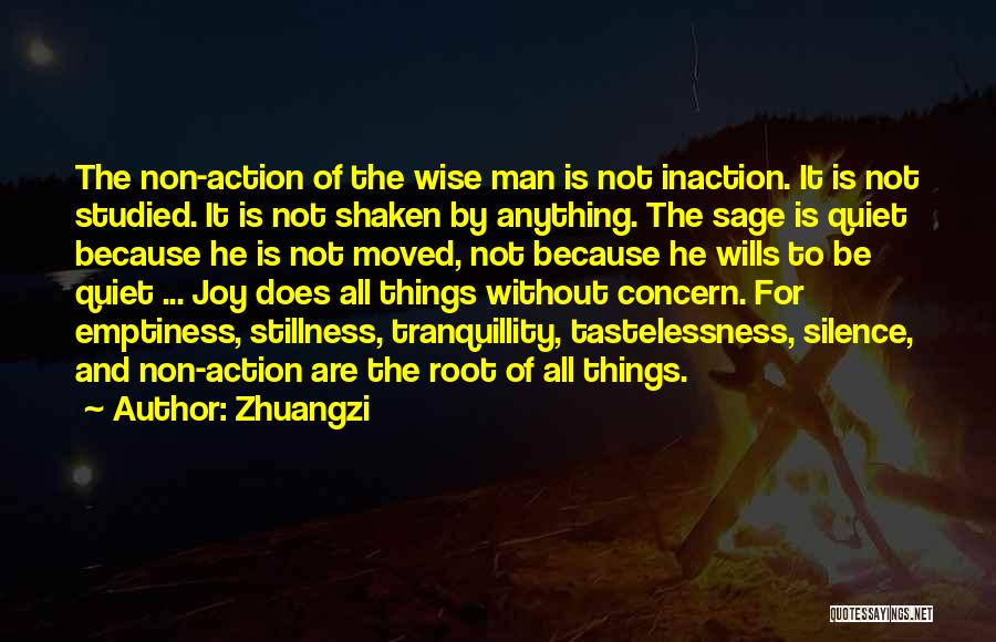 All Wise Quotes By Zhuangzi