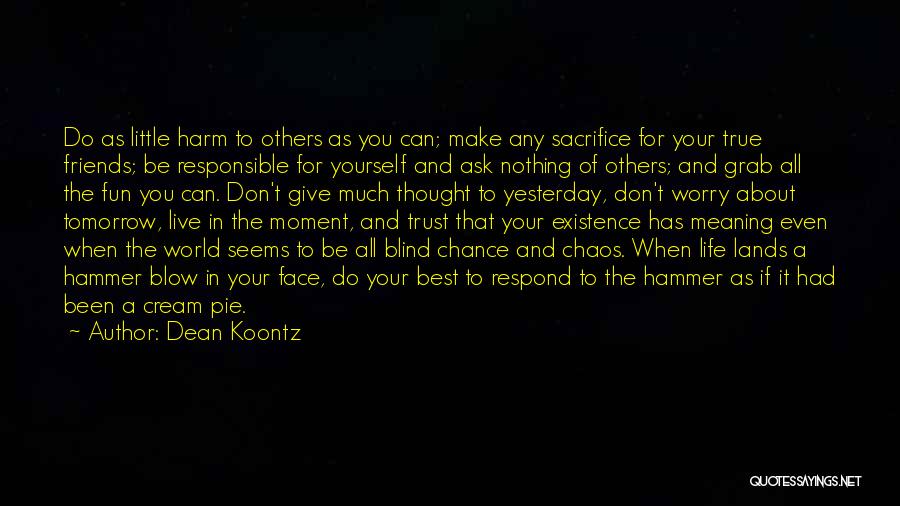 All You Can Do Your Best Quotes By Dean Koontz