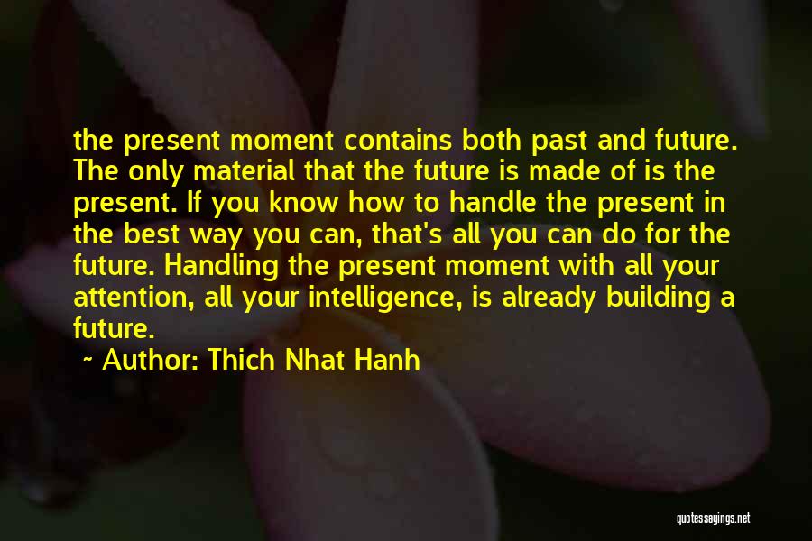 All You Can Do Your Best Quotes By Thich Nhat Hanh