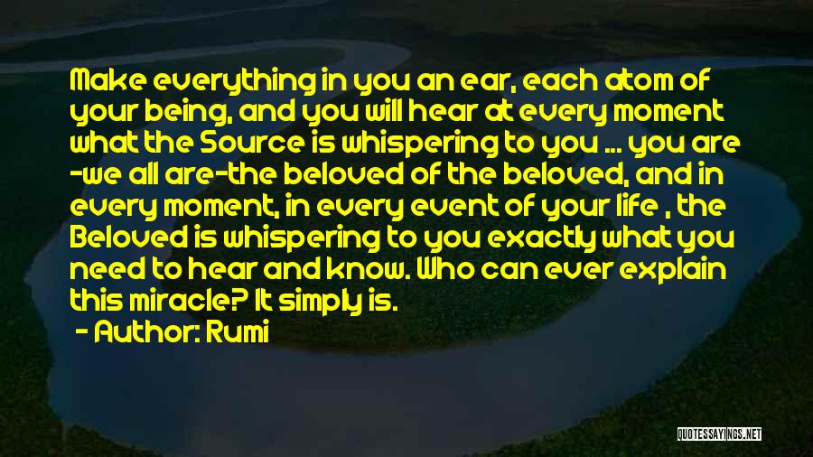 All You Need In Life Quotes By Rumi