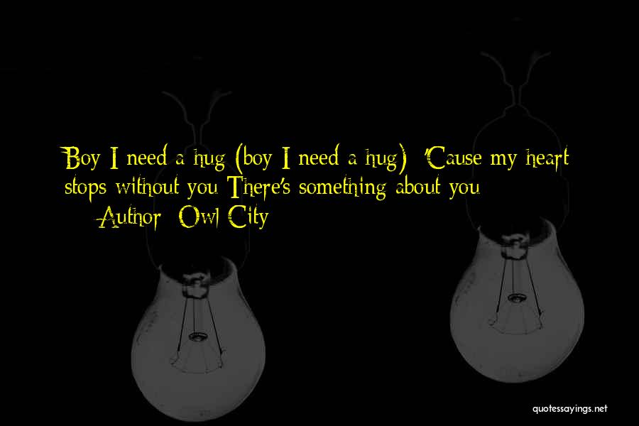 All You Need Is A Hug Quotes By Owl City