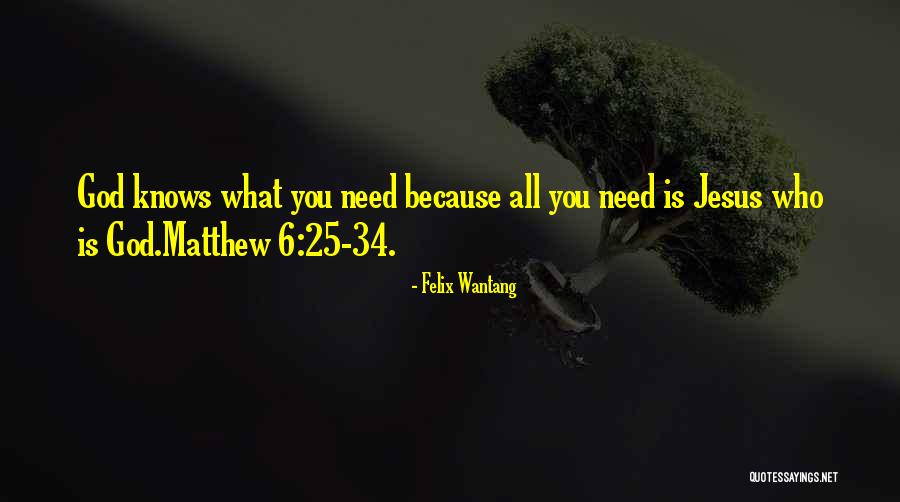 All You Need Is Jesus Quotes By Felix Wantang