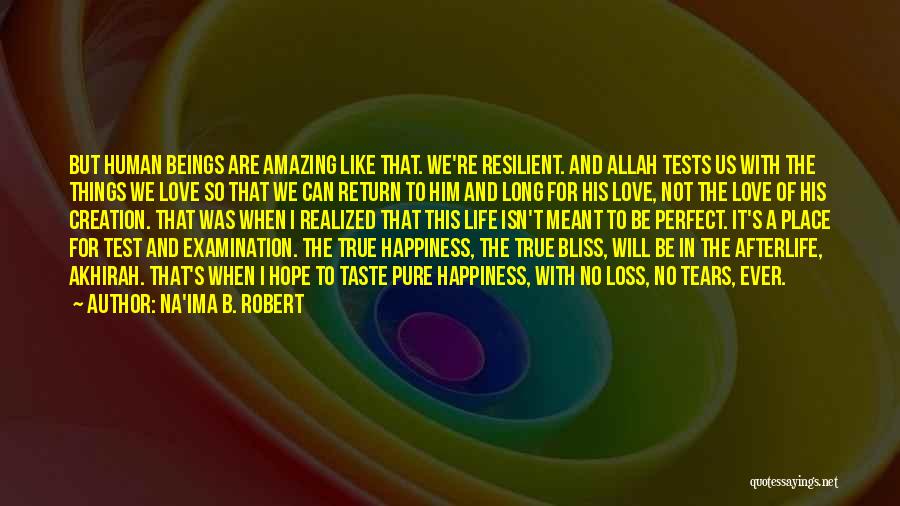 Allah And Love Quotes By Na'ima B. Robert