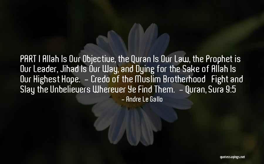 Allah Is The Only Hope Quotes By Andre Le Gallo