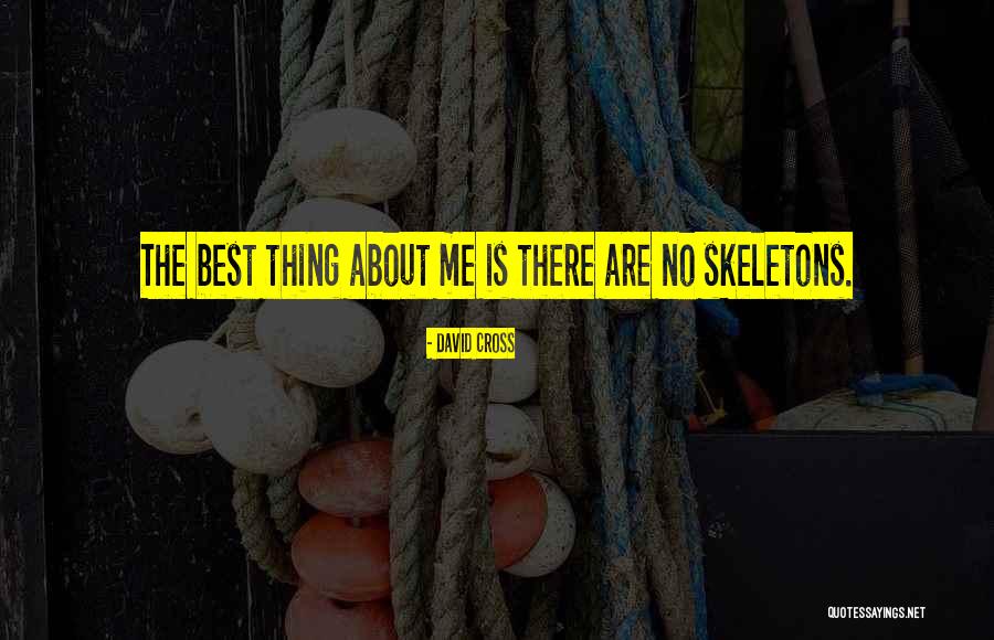 Allahabadi Amrud Quotes By David Cross Allahabadi Amrud Quotes By David Cross