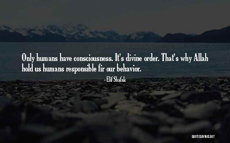 Allah's Quotes By Elif Shafak Allah's Quotes By Elif Shafak