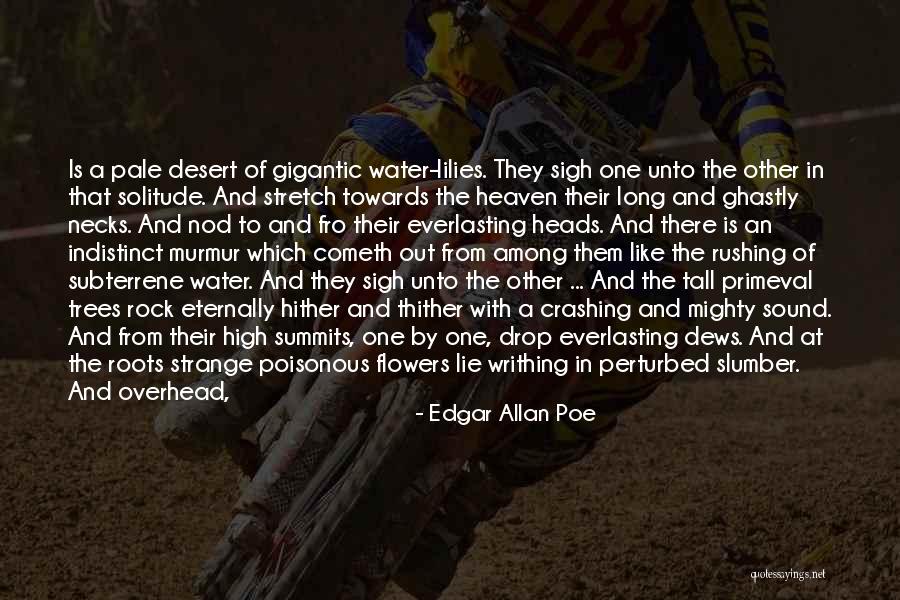 Allan Gray Quotes By Edgar Allan Poe Allan Gray Quotes By Edgar Allan Poe