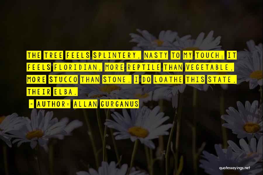 Allan Gurganus Quotes 2206872