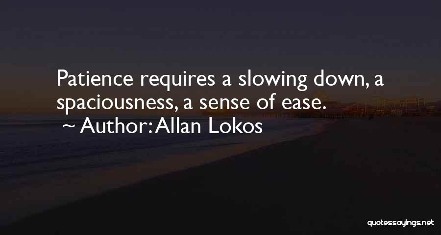 Allan Lokos Quotes 201368