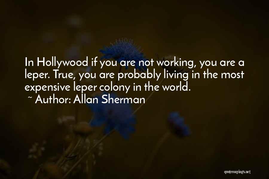 Allan Sherman Quotes 1186880