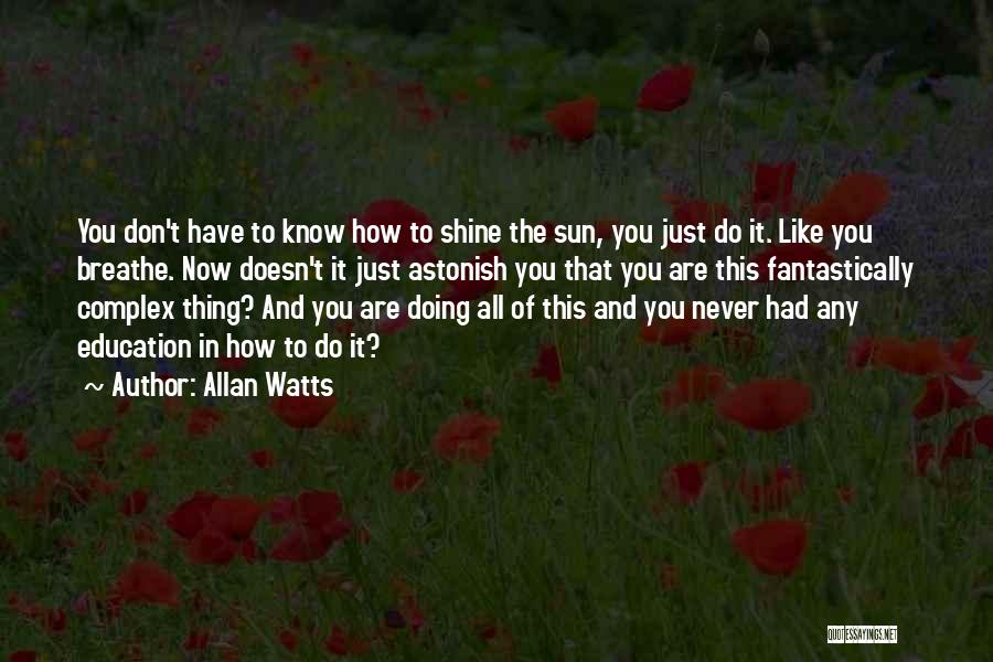 Allan Watts Quotes 1903875