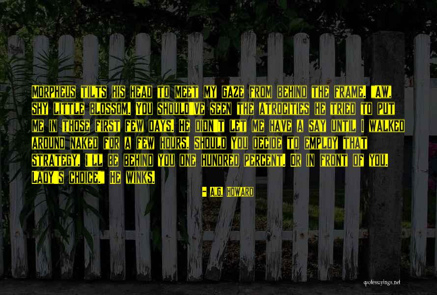 Allareacodes Quotes By A.G. Howard Allareacodes Quotes By A.G. Howard
