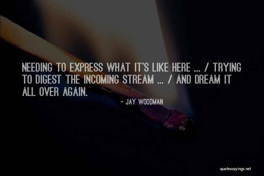 Allaying Crook Quotes By Jay Woodman Allaying Crook Quotes By Jay Woodman