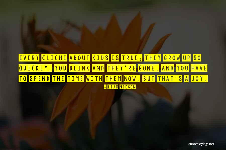 Allberry Ravi Quotes By Liam Neeson Allberry Ravi Quotes By Liam Neeson