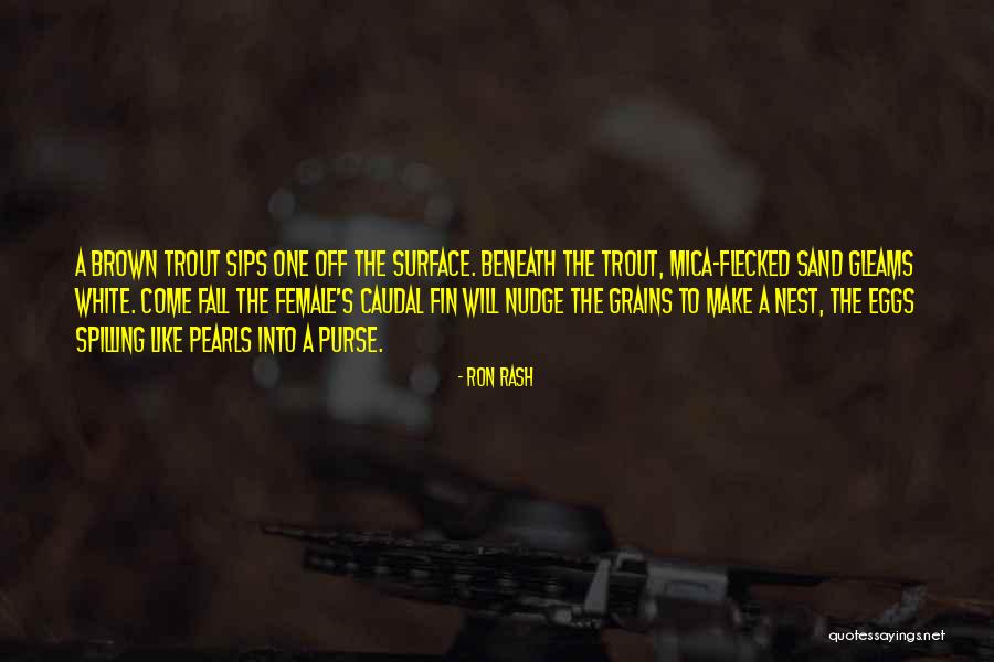 Allebei Nederlands Quotes By Ron Rash Allebei Nederlands Quotes By Ron Rash