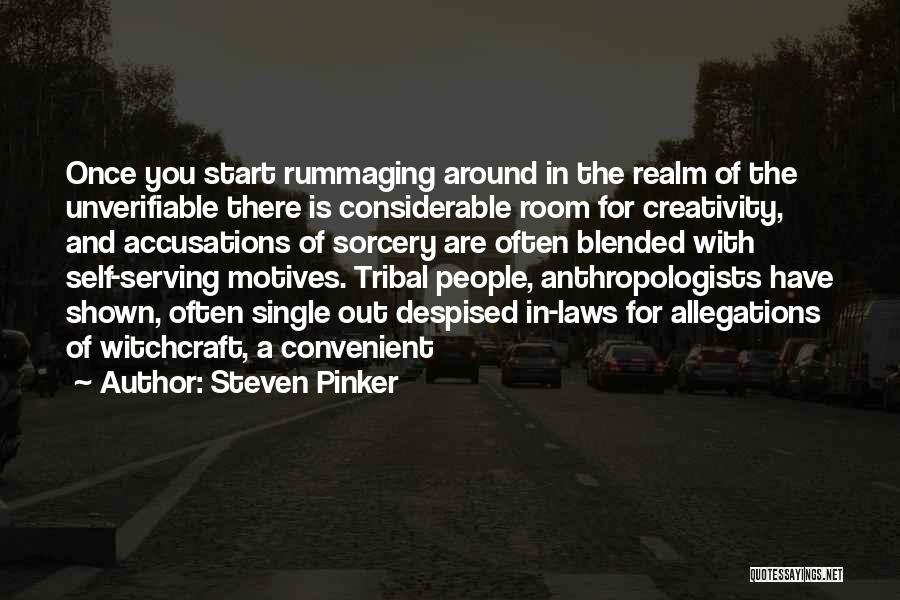 Allegations Quotes By Steven Pinker