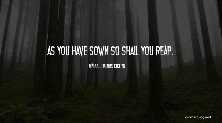 Alleged Bar Quotes By Marcus Tullius Cicero Alleged Bar Quotes By Marcus Tullius Cicero