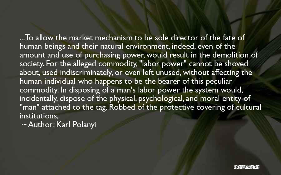 Alleged Quotes By Karl Polanyi