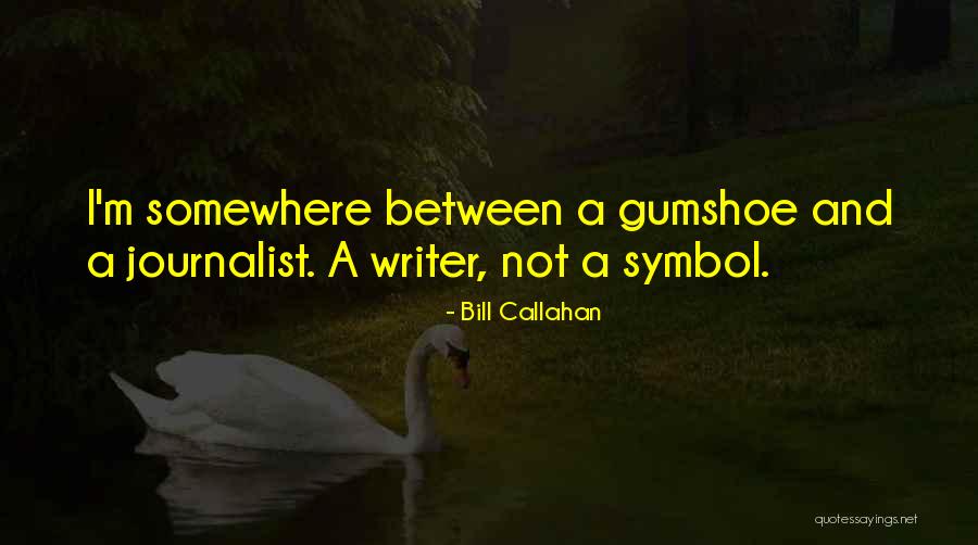 Alleges Define Quotes By Bill Callahan Alleges Define Quotes By Bill Callahan