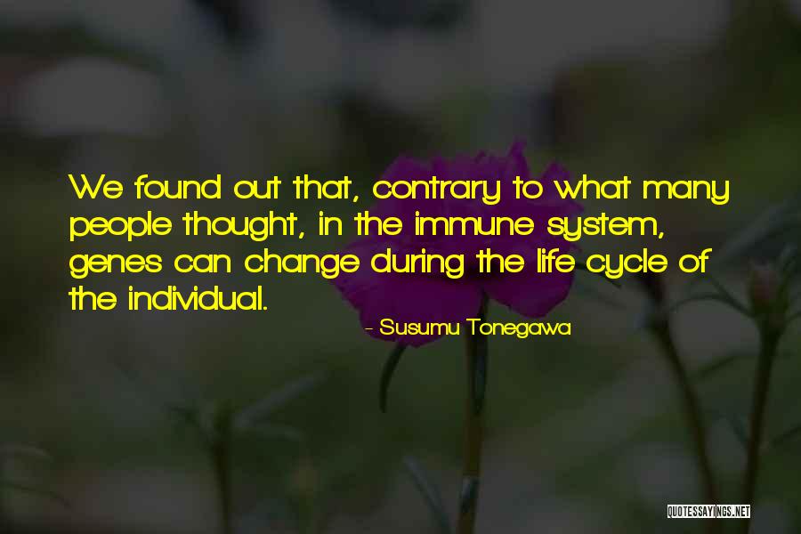 Allegiant Air Quotes By Susumu Tonegawa Allegiant Air Quotes By Susumu Tonegawa