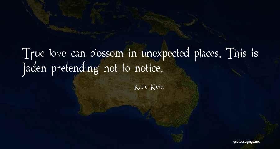 Allegrova Concert Quotes By Katie Klein Allegrova Concert Quotes By Katie Klein