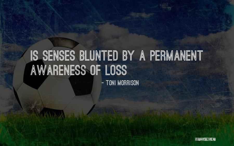 Allele Example Quotes By Toni Morrison Allele Example Quotes By Toni Morrison