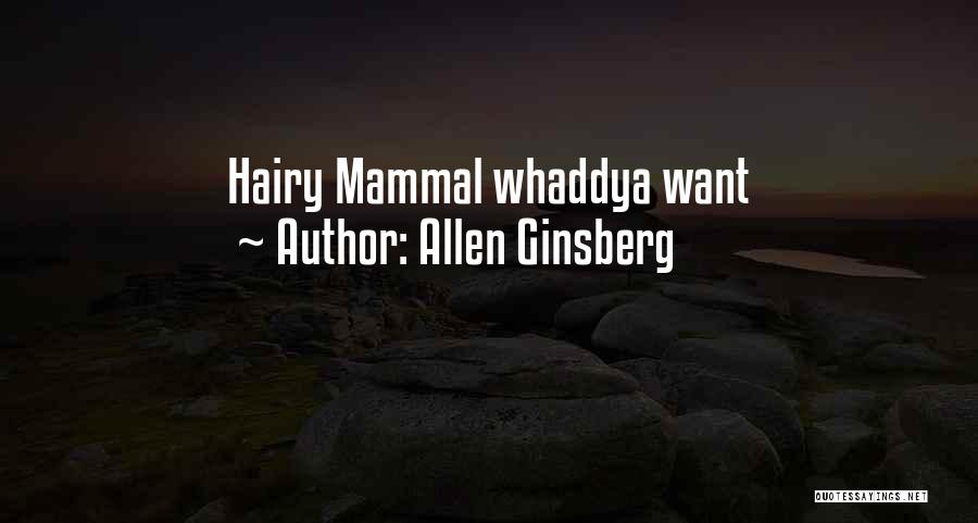 Allen Ginsberg Quotes 1134859