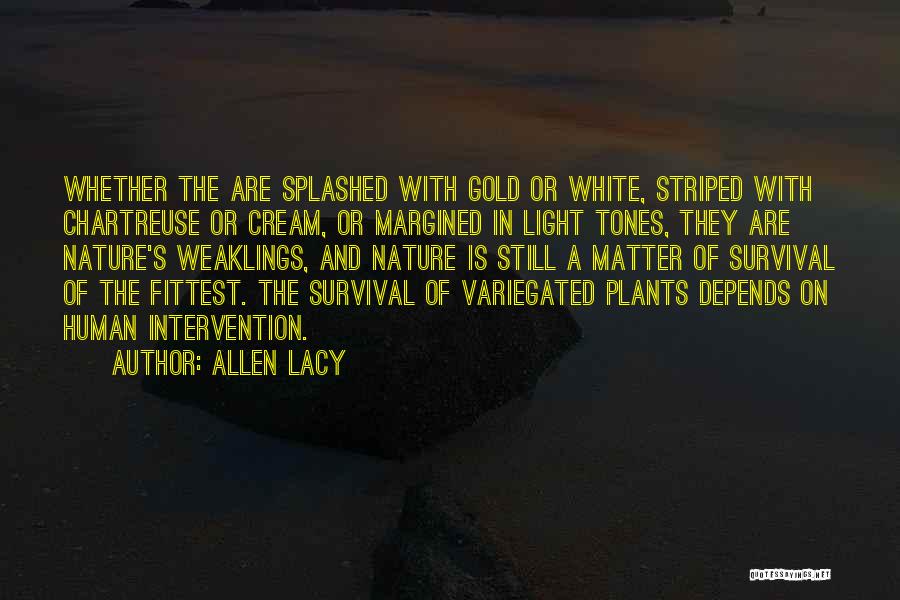 Allen Lacy Quotes 1246902