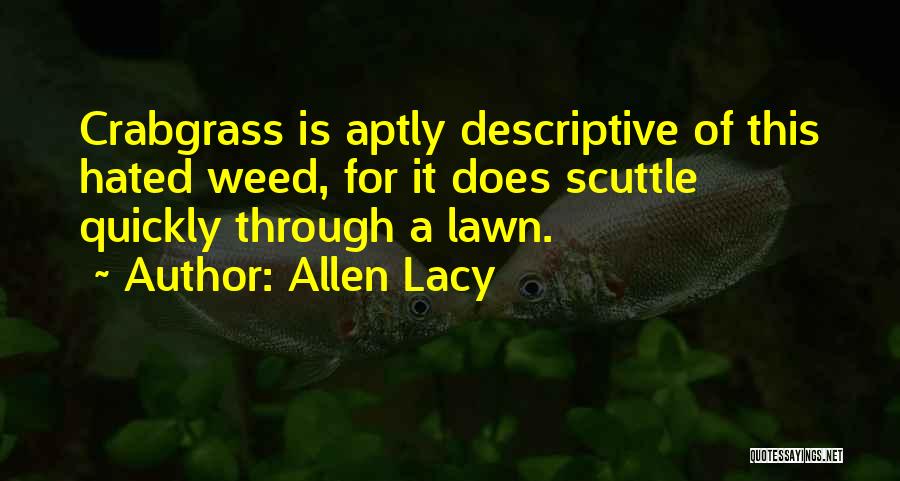 Allen Lacy Quotes 1794490