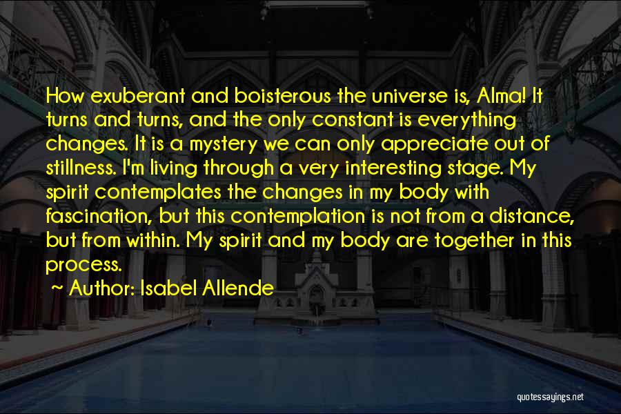 Allende Quotes By Isabel Allende