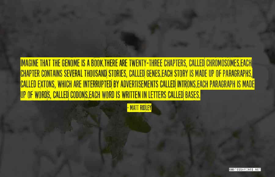 Allene Simmons Quotes By Matt Ridley Allene Simmons Quotes By Matt Ridley