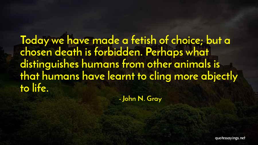 Allestimer Quotes By John N. Gray Allestimer Quotes By John N. Gray
