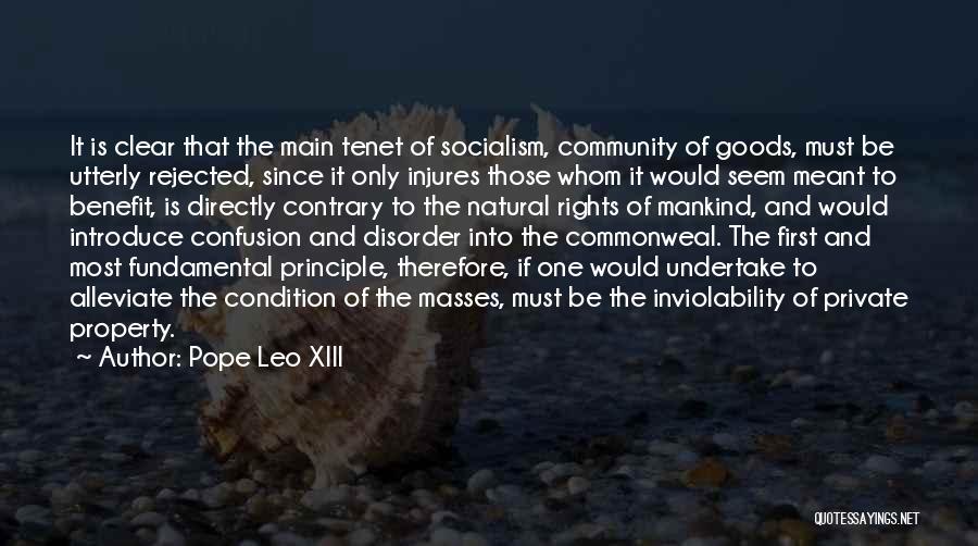 Alleviate Quotes By Pope Leo XIII