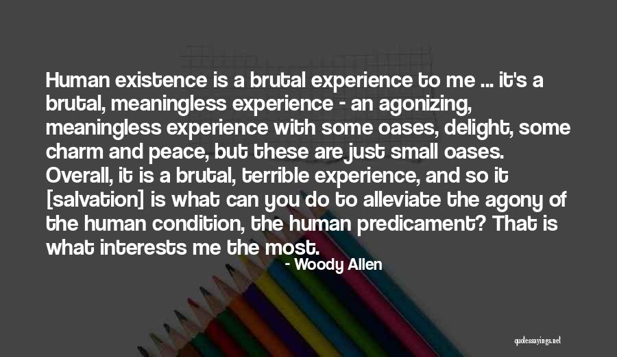 Alleviate Quotes By Woody Allen